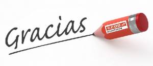 Elecciones Sindicales 2016 del Personal de Servicios Educativos y Complementarios