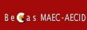 Becas MAEC-AECID. Convocatoria