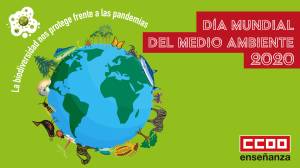 Día Mundial del Medio Ambiente 2020