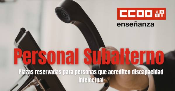 Personal subalterno (Plazas reservadas discapacidad intelectual.  Adjudicación de destinos.