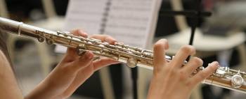 Bolsa de empleo CyL. Profesores de música y artes escénicas. Flauta travesera. Listado provisional de admitidos y excluidos. Modificación