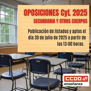 Oposiciones 2025. PES y Otros Cuerpos. Publicación de listados y aptos el día 30 de julio de 2025 a partir de las 13:00 horas.