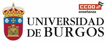 UBU. Concurso público para la provisión de plazas de Profesor Permanente Laboral. Convocatoria