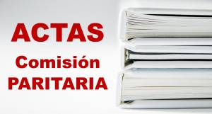 Actas comisión paritaria
