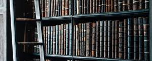Ayudas destinadas a financiar la contratación predoctoral de personal investigador. Fondo Social Europeo Plus (FSE+). Convocatoria