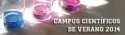 Campus Científicos de Verano. Ayudas concedidas a alumnos admitidos