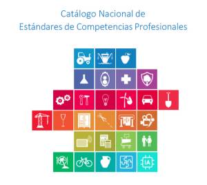 FP: establecimiento de nuevos estándares de competencias profesionales en el CNECP