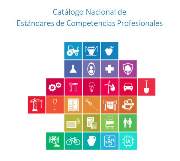 FP: establecimiento de nuevos estándares de competencias profesionales en el CNECP