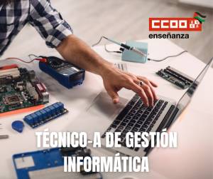Técnico-a de Gestión Informática: Promoción Interna. Adjudicación de destinos