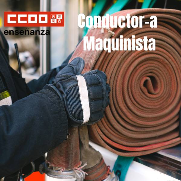 Conductor Maquinista Promoción Interna. Aspirantes que superan el proceso y oferta de vacantes.