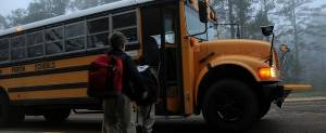 Medidas relativas al transporte escolar para el alumnado que cursa niveles educativos post-obligatorios