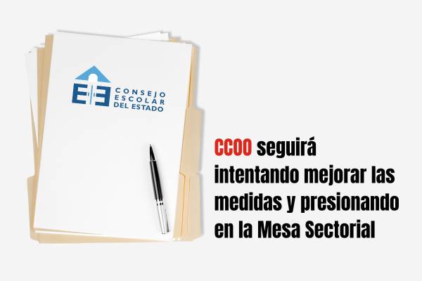 CCOO consigue que el Consejo Escolar del Estado recoja sus reivindicaciones sobre el profesorado