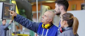 Grados A, B y C para las familias profesionales Industrias Alimentarias; Seguridad y Medio Ambiente; Textil, Confección y Piel; y Transporte y Mantenimiento de Vehículos. Regulación de aspectos específicos