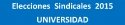 Universidad EESS 2015. Programas Electorales