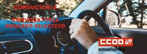 Proceso Selectivo Conductor/a: Convocatoria