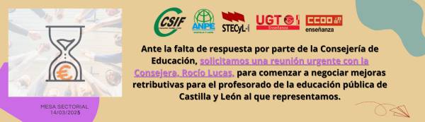 CCOO y el resto de OOSS solicitamos a la Consejera de Educación una reunión urgente para negociar mejoras retributivas para el profesorado de la educación pública de CyL
