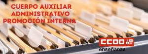 Relación provisional de admitidos y excluidos promoción interna en el Cuerpo Auxiliar