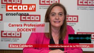 Carrera Profesional Docente. Convocatoria extraordinaria de la Categoría 1