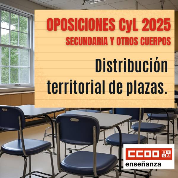 Oposiciones 2025. PES y otros cuerpos. Aspirantes seleccionados y aptos. (Por provincias y especialidad)