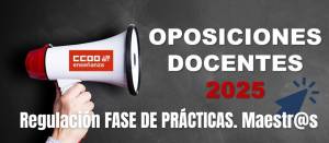 Oposiciones maestros 2025 CyL. Fase de prácticas. Regulación