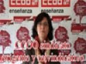 Reconocimiento tutorías. Elecciones sindicales 2010. FECCOOCyL.