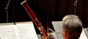 Bolsa de empleo CyL. Profesores de música y artes escénicas. Fagot. Listado provisional de baremación