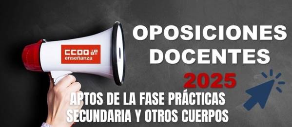 Oposiciones secundaria y otros cuerpos CyL 2025. Aptos fase de prácticas