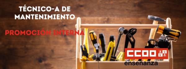 Técnico-a de Mantenimiento (Promoción Interna). Aspirantes que superan proceso selectivo y oferta de plazas.
