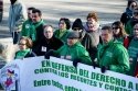 CCOO ha participado en la manifestación contra la Ley Wert ante el Miguel Delibes