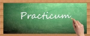 Practicum. Centros y tutores de prácticas.Convocatoria