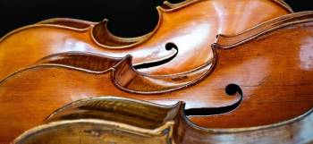 Bolsa de empleo CyL. Profesores de música y artes escénicas. Violonchelo. Listado provisional de admitidos y excluidos. Modificación