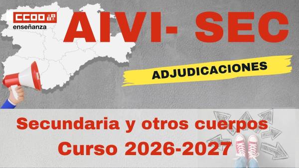 AIVI. PES y otros cuerpos. Adjudicación. Curso 2026 /27