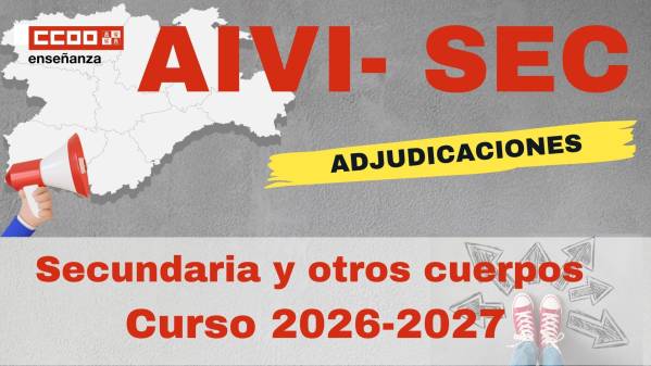 AIVI. PES y otros cuerpos. Adjudicación. Curso 2026 /27