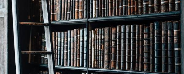 Proyectos «Bibliotecas escolares de futuro. Bibliotecas 2030». Convocatoria