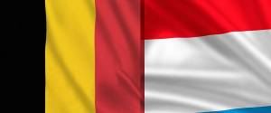 Bélgica y Luxemburgo. Convocatoria curso 2019-20. Prórroga de las listas de interinos del curso 2018-19 (ALCE)