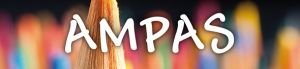 AMPAS. Subvenciones a Federaciones y Confederaciones. Convocatoria