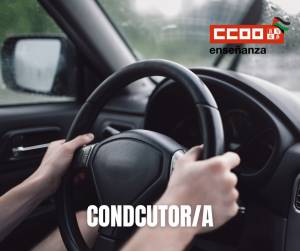 Conductor. Proceso de Estabilización Concurso: Adjudicación de destinos