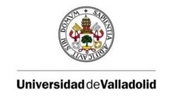 UVA. Modificación de la Relación de Puestos de Trabajo de Personal Laboral de Administración y Servicios