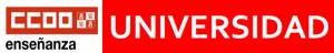 CCOO Informa: Universidad CyL