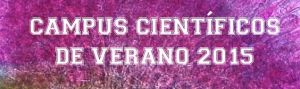 Ayudas alumnos admitidos en el programa &quot;Campus Científicos de Verano&quot;. Concesión